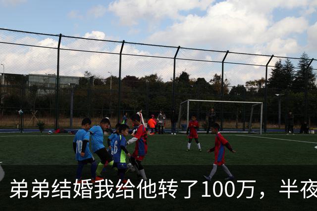 弟弟结婚我给他转了100万，半夜他突然发来消息：姐，这钱先退你