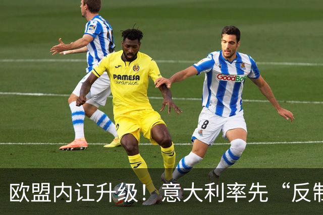 欧盟内讧升级！意大利率先“反制”，冯德莱恩干预欧盟外交 ！