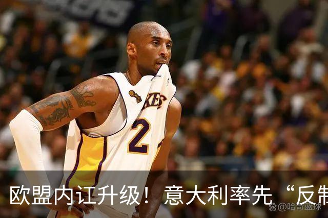 欧盟内讧升级！意大利率先“反制”，冯德莱恩干预欧盟外交 ！